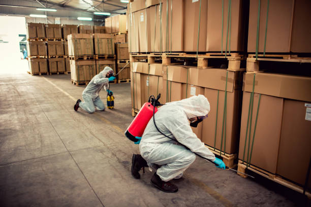 Best Ant Control Services  in Sharpsville, PA