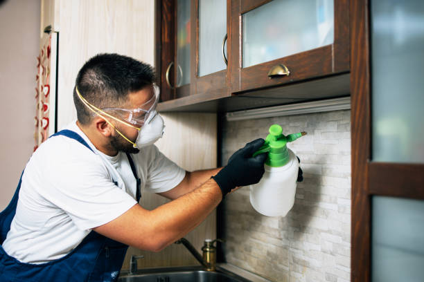 Best Pest Inspection Near Me  in Sharpsville, PA