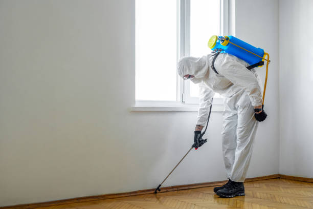 Best Insect Control  in Sharpsville, PA