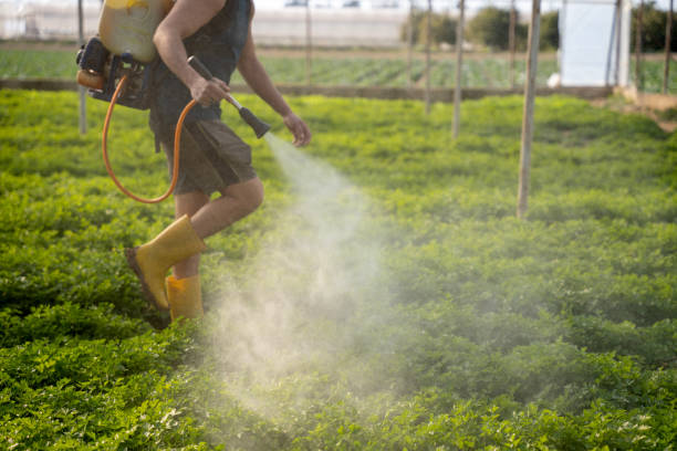 Best Commercial Pest Control Services  in Sharpsville, PA