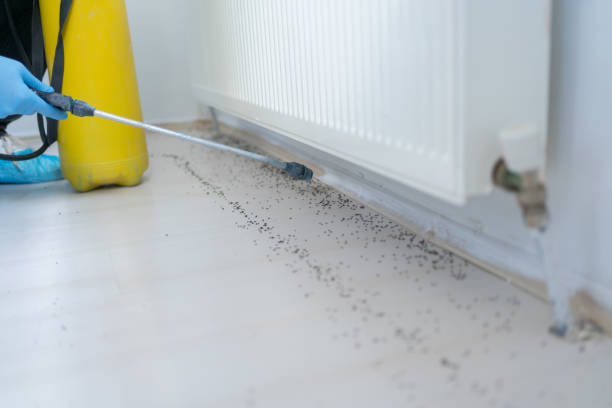 Best Local Pest Control Services  in Sharpsville, PA