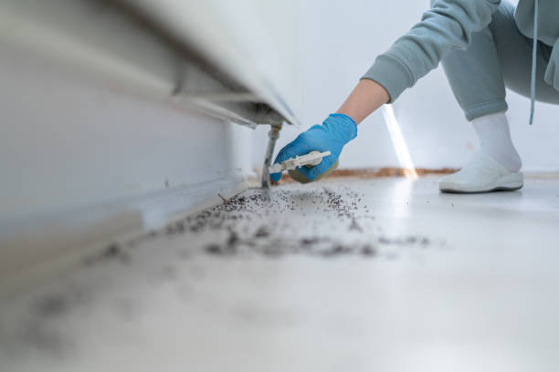 Flea Control Services in Sharpsville, PA